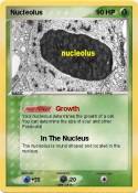 Nucleolus
