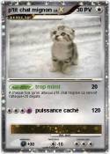 p'tit chat mign