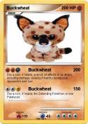 Buckwheat