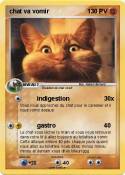 chat va vomir