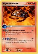Ttigre dans le