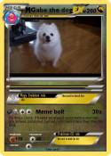 Gabe the dog