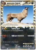 awesome llama!