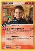 Wacky Wild