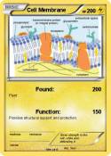 Cell Membrane