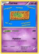 Cell Wall