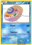 Cytoplasm