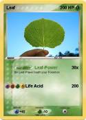 Leaf