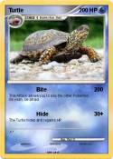 Turtle