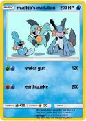 mudkip's evolut