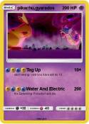 pikachu,gyarados