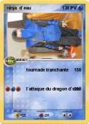 ninja d`eau