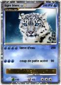tigre blanc