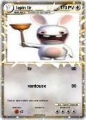 lapin tir