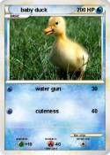 baby duck