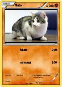 Gato