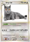 Grey Cat
