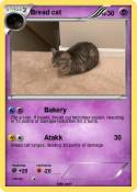 Bread cat