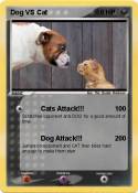 Dog VS Cat