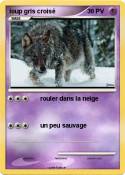 loup gris