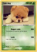 Cute dog