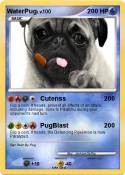 WaterPug