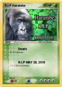 R.I.P Harambe