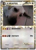 le labrachien