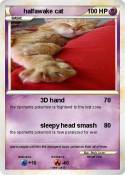 halfawake cat