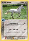 Super cheval
