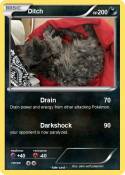 Ditch