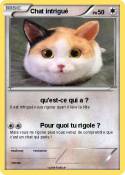 Chat intrigué