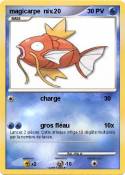 magicarpe niv.2