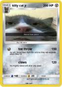 kitty cat jr