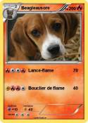 Beagleausore