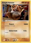 Kungfu Hamster