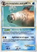 Arctocephalus