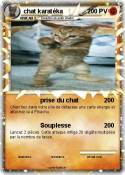 chat karatéka