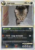 chat boss