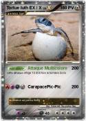 Tortue luth EX
