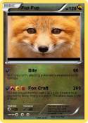 Fox Pup
