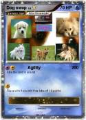 Dog swop