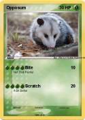 Opposum
