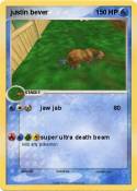 justin bever