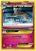 A dog !!!!!!!!!