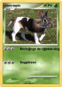 chien-lapin