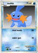 mudkip