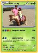 Petit poney