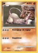 rat