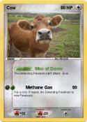 Cow